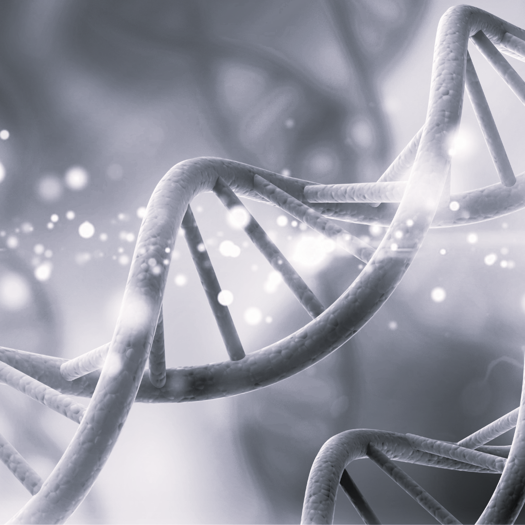 Aktualizace RIS3 strategie pro doménu biotech a healthtech
